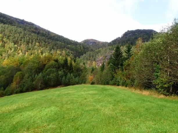 som da blir liggende i bekkekløften. Ellers hadde huldrestryen blitt liggende i en lokalt viktig naturtype. Ellers følger grensene hovedsakelig topografien i terrenget.