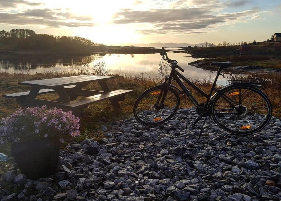 Tilrettelegge for bedre ferdsel og skåne naturen.