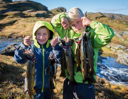 3. VEIVALG 3.1.3 Natur, kulturarv og miljø Bakgrunn: DNT skal lykkes i å hindre naturinngrep og forstyrrelser som påvirker muligheten til et allsidig og opplevelsesrikt friluftsliv.