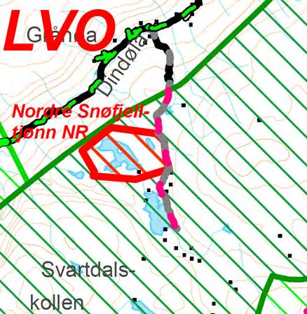 Kjørespor Søndre Snøfjellstjønna -Tverrfjellet - høringsnotat kartet på den tid viste, og det kommunen tidligere hadde opplyst. Dessverre ble det ikke skrevet noe referat fra befaringen.