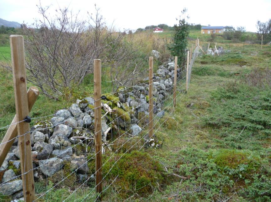 4.2.2 Forvaltningsmål - skjøtsel Få på plass et beiteregime som bidrar til at områdets naturkvaliteter opprettholdes.