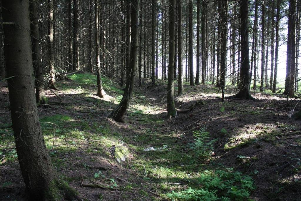 Foto 3: Hulveisdelen av veifaret sør for planområdet, sett mot nord. Veifaret går i nord-sørlig retning fra Glynitveien i nord, ut av planområdet og til FV29 i sør.