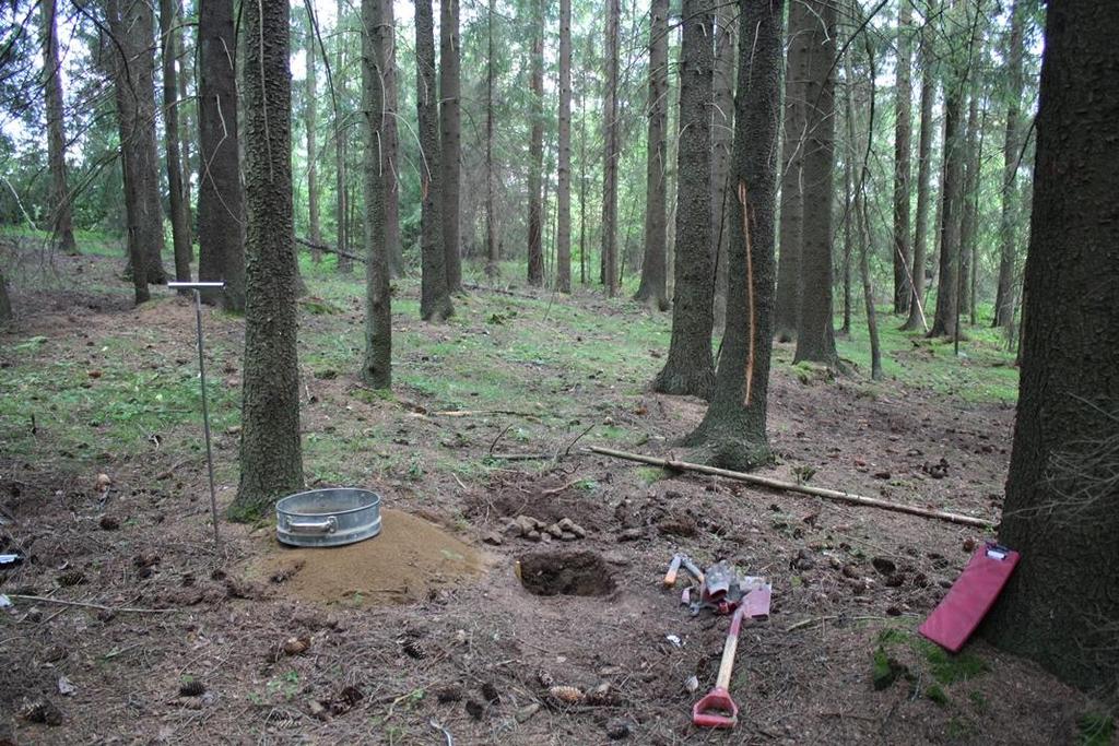 Sk i n æ r i n g s p a r k f e l t F Foto 1: Oversiktsbilde ved prøvestikk 3 viser plantet granskog. Mot nord.