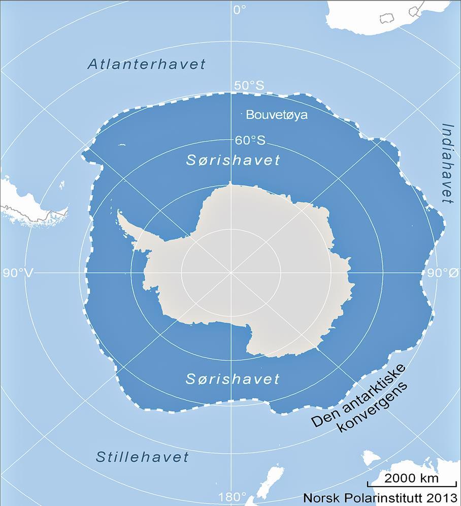 Definisjon polarforskning Antarktis: Området sør for den antarktiske konvergensen hvor de varme vannmassene nordfra møter