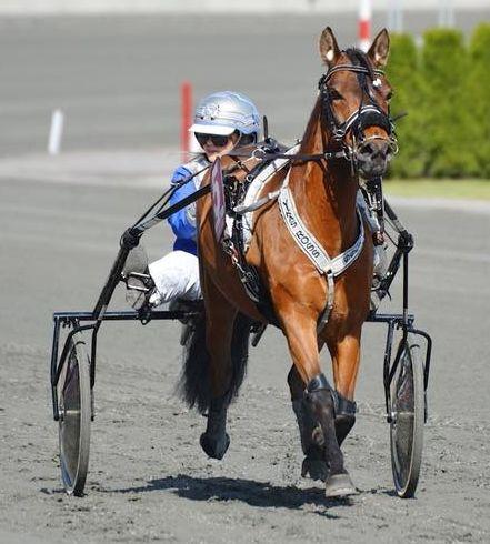 Hest på Toten 26.august 218 kl 12.