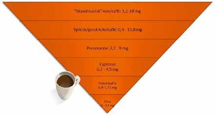 endotellag (8). Dette ble også indikert i en liten, kortvarig studie blant unge japanske menn som drakk tre kopper med relativt sterk kaffe per dag (28).