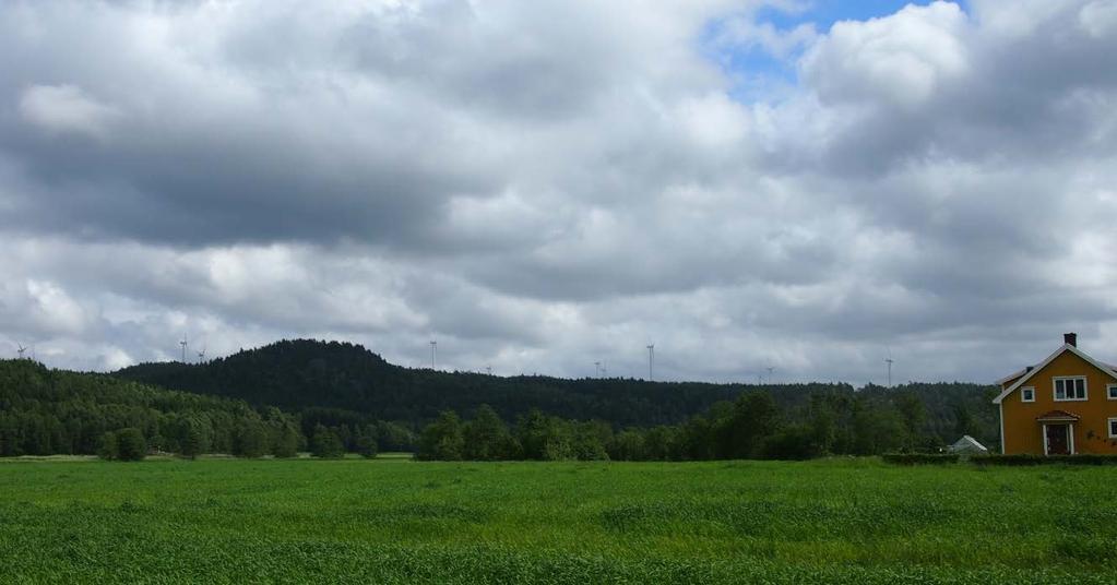 ned ca 1 m under bakken og arealet vil bli sådd slik at skog kan vokse opp der fundamentet stått. Veier vil trolig bli liggende igjen til fremtidlig bruk for grunneiere Figur 5.