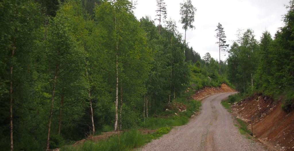 Figur 4. Mulig adkomstvei, her vist dagens skogsbilvei i den sydligste av de to adkomstsonene sørøst for Nordre Billingen. Foto: Sweco. 2.