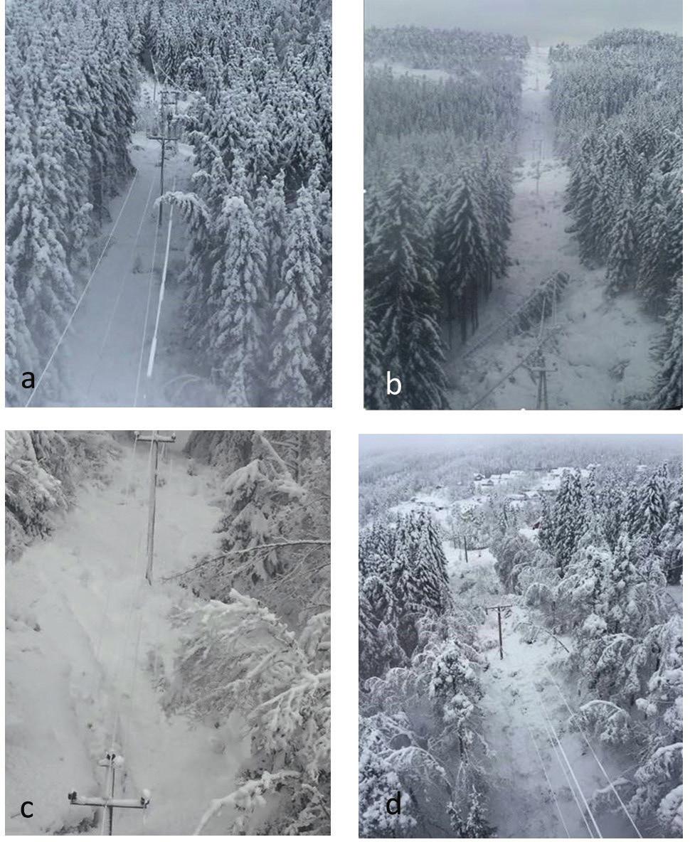 vinteren 2017-2018 var en rekke hendelser med mye våt snø. Kjeller Vindteknikk har modellert akkumuleringen av våt snø for hver time gjennom de to døgnene 5.-6.