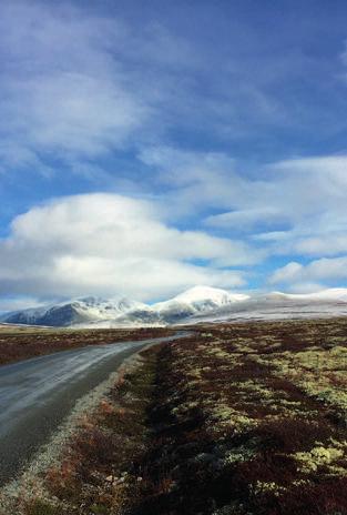 Type bruker Lokalbefolkning Hytteeiere på Mysusæter Hytteeiere i regionen Andre dagsturister Gjester på Rondane Høyfjellshotell Næringsmessig betydning i dag Liten/middels, ev noe for handel og kafe