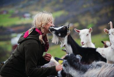 Foto: Terje Rakke/Nordic life - Visitnorwaycom Foto: Nasjonalparkriket 433 Øke «inngangsbilletten» til Spranget For å redusere det direkte presset på Spranget bør en se om en kan bruke pris som