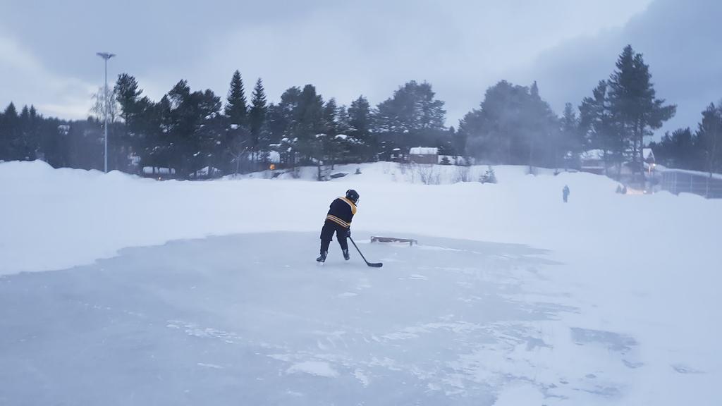 TRONDHEIM MED DEN ISHOCKEYKULTUREN SOM BYEN HAR TRENGER MINST 7-8 ISFLATER PER 2018.