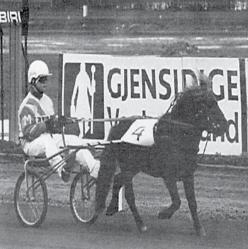 IVRIG (SE) NS 0397 NPA 2679 Født 1993, 102 cm 3. premie 7-8-6-7-7 Smalbygd hingst av god type i løpskondisjon, men god kropp og ledig trav.