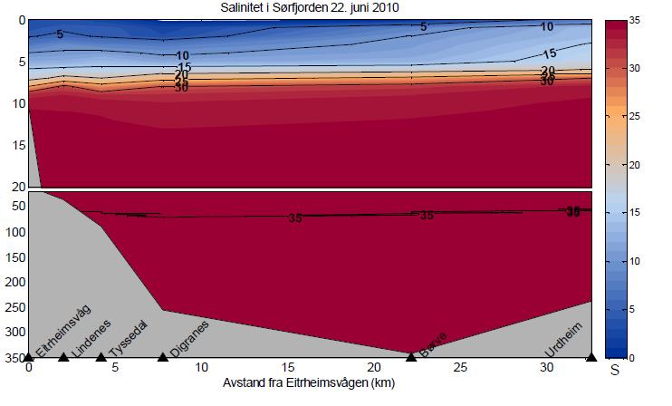 Figur 7-3. Tverrsnitt saltholdighet Sørfjorden i juni (NIVA 2011).