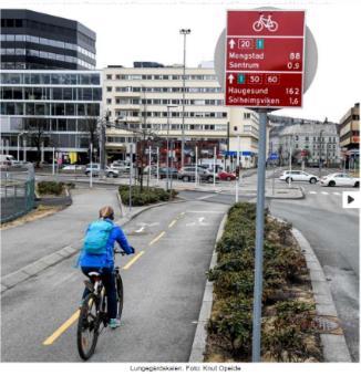 I tillegg foreslås det at det utarbeides kart over sykkelveier og forslag til mulige sykkelruter/snarveier til viktige målpunkt.