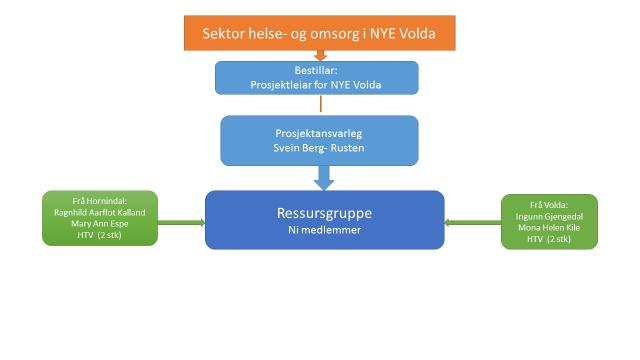 Juni 2018 HTV i Volda og Hornindal vel medlemmer til ressursgruppa. Anbod på ekstern analyse av kvalitet, behov og tilbod i helse- og omsorgstenester i dei to kommunane i notid og framtid.