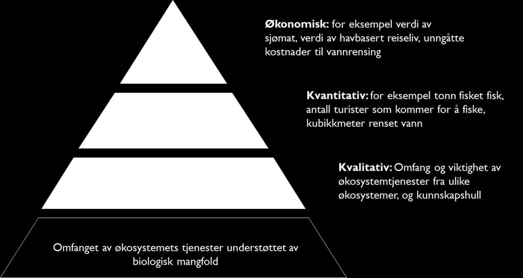 meningsfull måte. Figuren viser også tydelig at dersom hele bredden av verdier vi mennesker får fra naturen skal synliggjøres, er det nødvendig å benytte flere forskjellige metoder for verdivurdering.