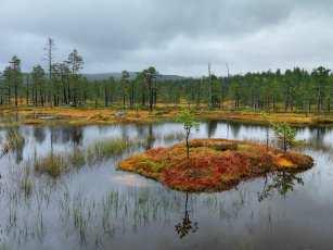 Skog, areal og arealbruksendringer Utslipp/opptak fra seks arealbrukskategorier og overganger mellom dem Skog Utbygd