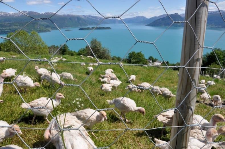 Kvam herad ønskjer at me framleis skal ha gode og attraktive stølsmiljø i fjella. Då er det naturleg at bygga kan vedlikehaldast og nyttast og ha ei naturleg utvikling.