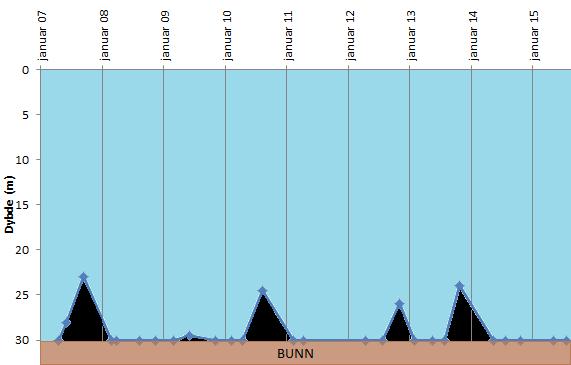 Figur 5: Dybde for 25 % oksygenmetning ved Berg, 2007-2015 Sammelikning av de ulike stasjonene I løpet av de siste årene har oksygenmetningen blitt målt ved Berg, Sørbotn og Flyta.