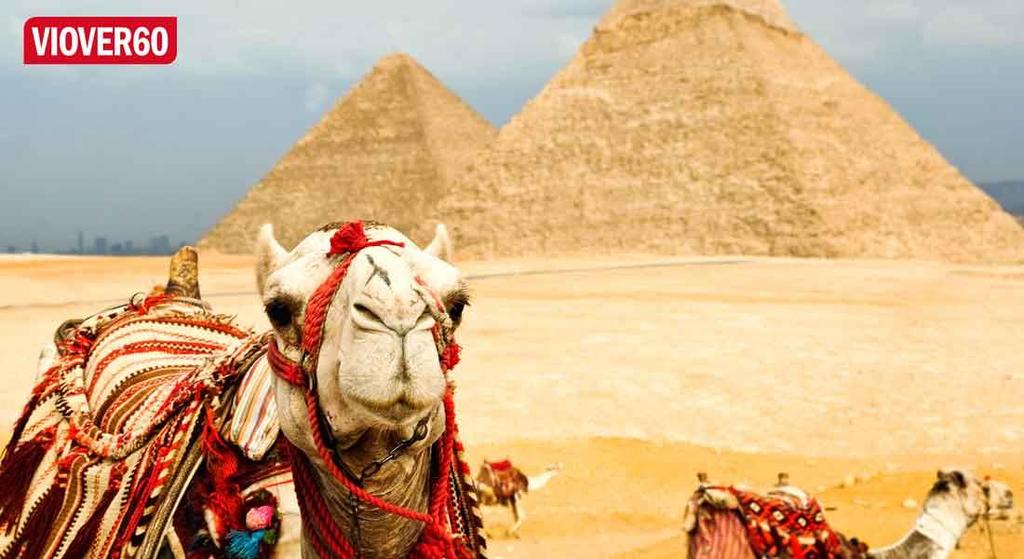 1 TONES EGYPT Bli med vår dyktige reiseleder Tone og la henne vise deg sitt eventyrlige Egypt!