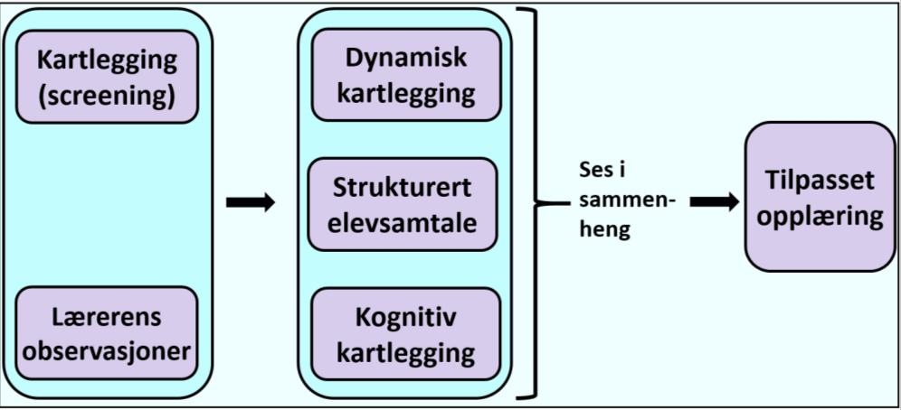 Bakgrunn: Hvordan lykkes med forbedring av arbeidet med matematikkvansker? Viktig at skoler og PPT opplever å være eiere av prosjektet.