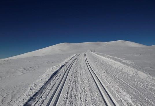 Innhold, materialvalg og innredning