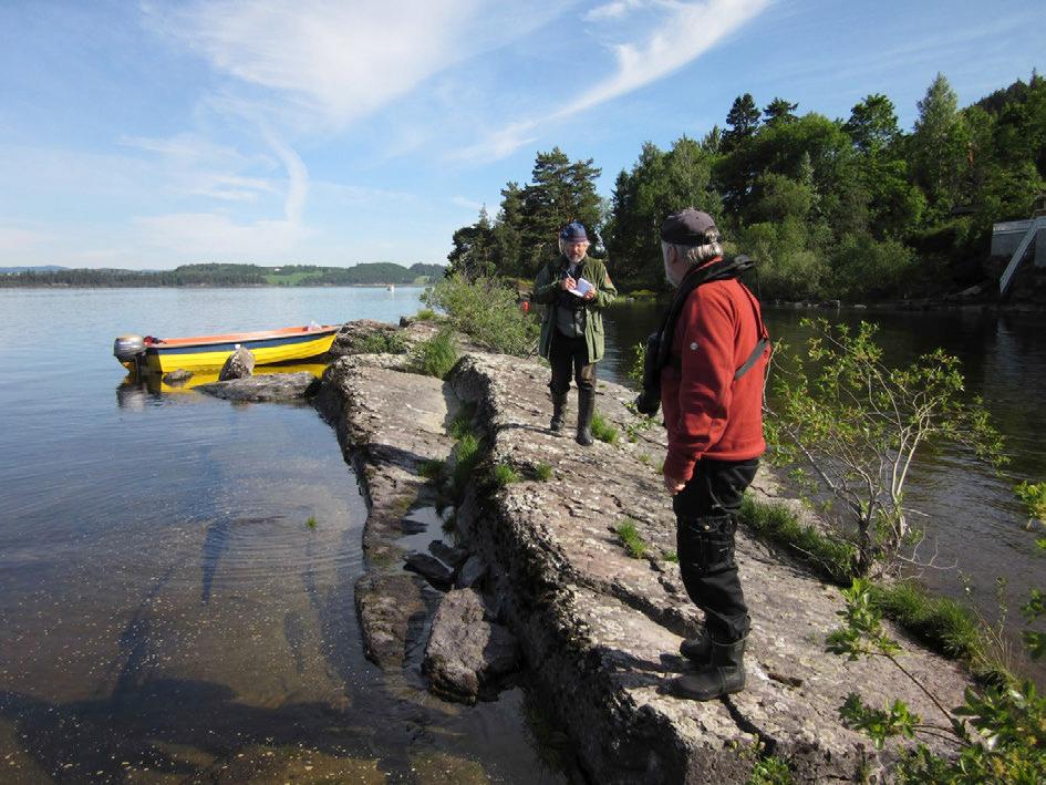 Lienskjæret øst for Utøya ble innlemmet i overvåkingsområdet fra og med sesongen 2007, og dette er hvert år den største fiskemåkekolonien i våtmarksystemet men ungeproduksjonen er dårlig pga.