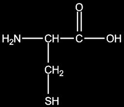 2 d) (10 poeng) Anta at gjæren i brødet omdanner 1 gram glukose til etanol og karbondioksid. Bruk reaksjonsligningen (1) og vurder hvor mange molekyler etanol det kan dannes av 1 gram glukose.