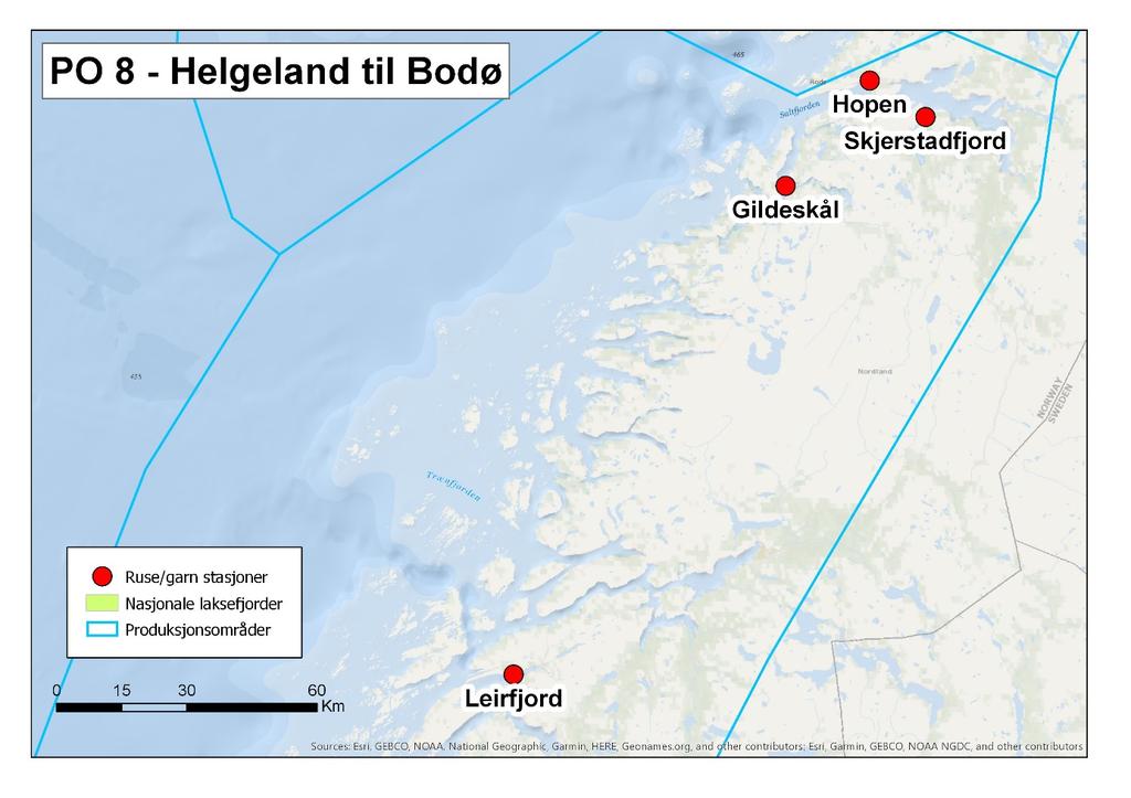 2.8 Nordland sør (PO 8, Helgeland Bodø) Leirfjord på Helgeland ble valgt som fast stasjon i dette produksjonsområdet og ble undersøkt i to adskilte perioder.