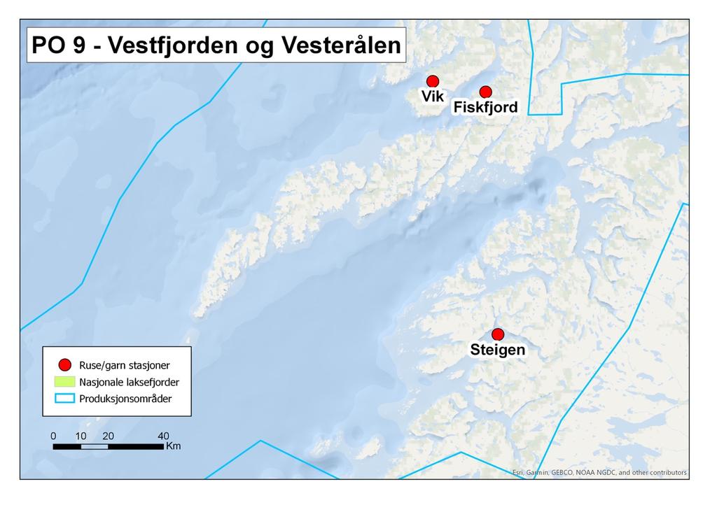 2.9 Nordland nord (PO 9, Vestfjorden og Vesterålen) Steigen ble valgt som fast stasjon i dette produksjonsområdet og ble undersøkt i to adskilte perioder.