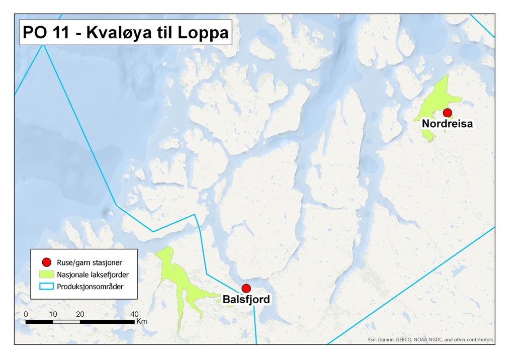 2.11 Troms nord (PO 11, Kvaløya Loppa) Balsfjord ble valgt som fast stasjon i dette produksjonsområdet og ble undersøkt i to adskilte perioder på omtrent to uker.