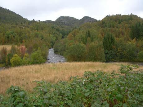 Tilsvarende areal finnes også like vest for samløpet mellom Neverdalselva og Tverrelva. Det er ikke husdyrhold i området lenger, men det beitet sau i utmarka inntil for 20-30 år siden.