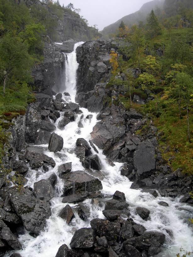 Verdifulle naturtyper På befaringen den 16.