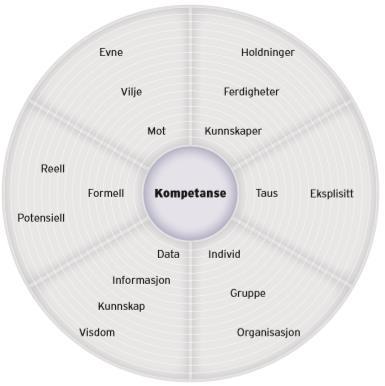 Verktøy for felles kompetanseforståelse: