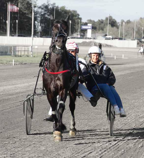 DNTs Unghestserie - 3 åringsløp Trondheim Torgs Ungdomsløp / Dameløp MANDAG 5. juni 2017 kl.18.