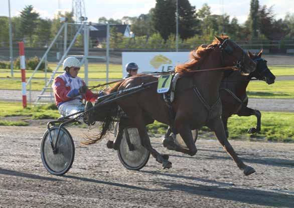 9 10 2017: 0-0 -0-0 -0-0 2016: 8-2 -2-0 -1-17.1v -42.000 Merlin Classic 9 16,4m 17,1am 63.000 7 år Mørkbr V v. Likely Lad (US) e. Kicking Promessa (S) v.