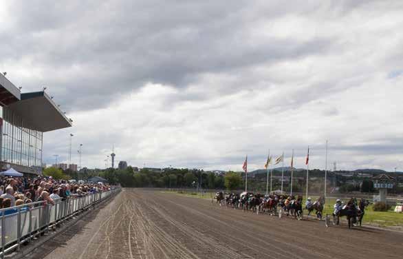 Midtsommertravet 2017 Årets høydepunkt arrangeres på Leangen Travbane fredag 23. juni 