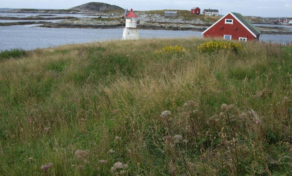 Bilder Figur 2. Øverst: oversikt over slåttemarka sett mot vest.