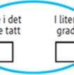 Tabell 2 viser svar på enkeltspørsmål om kvinnenes erfaringerr med fødeavdelingen.