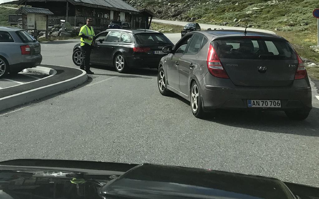 Støtte opp om videre utvikling i Gaustatoppen-området Støtte opp om videre utvikling knyttet til verdensarven Et helhetlig arbeid med Hardangervidda Et helhetlig arbeid med bygdene Utviklingsplan for