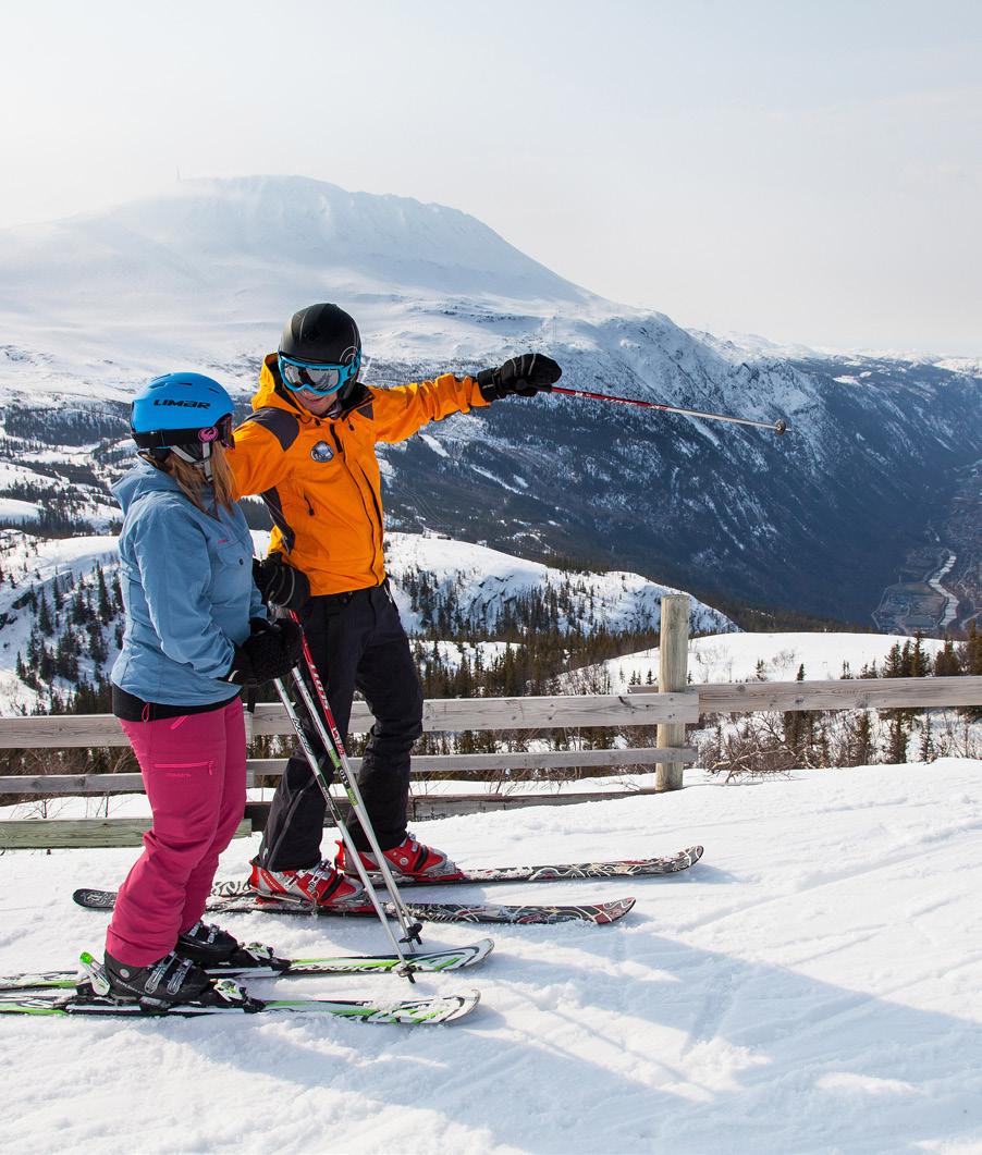 RJUKAN-NOTODDEN INDUSTRIARV - Omfatter spydspissen Vemork med industri- og krigshistorien, Rjukanbanen og alle andre objekter og områder knyttet til verdensarven, inkludert verdensarvbyen Rjukan