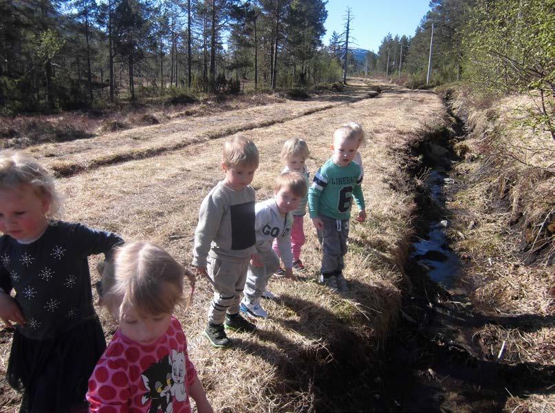 Dagsrytme for Tommeliten: 07.00: Barnehagen åpner, frilek 08.15: Frokost 08.30: Frilek 09.15: Samlingsstund 09.30: Organisert aktivitet. Eksempler på dette er tur og formingsaktiviteter. 10.