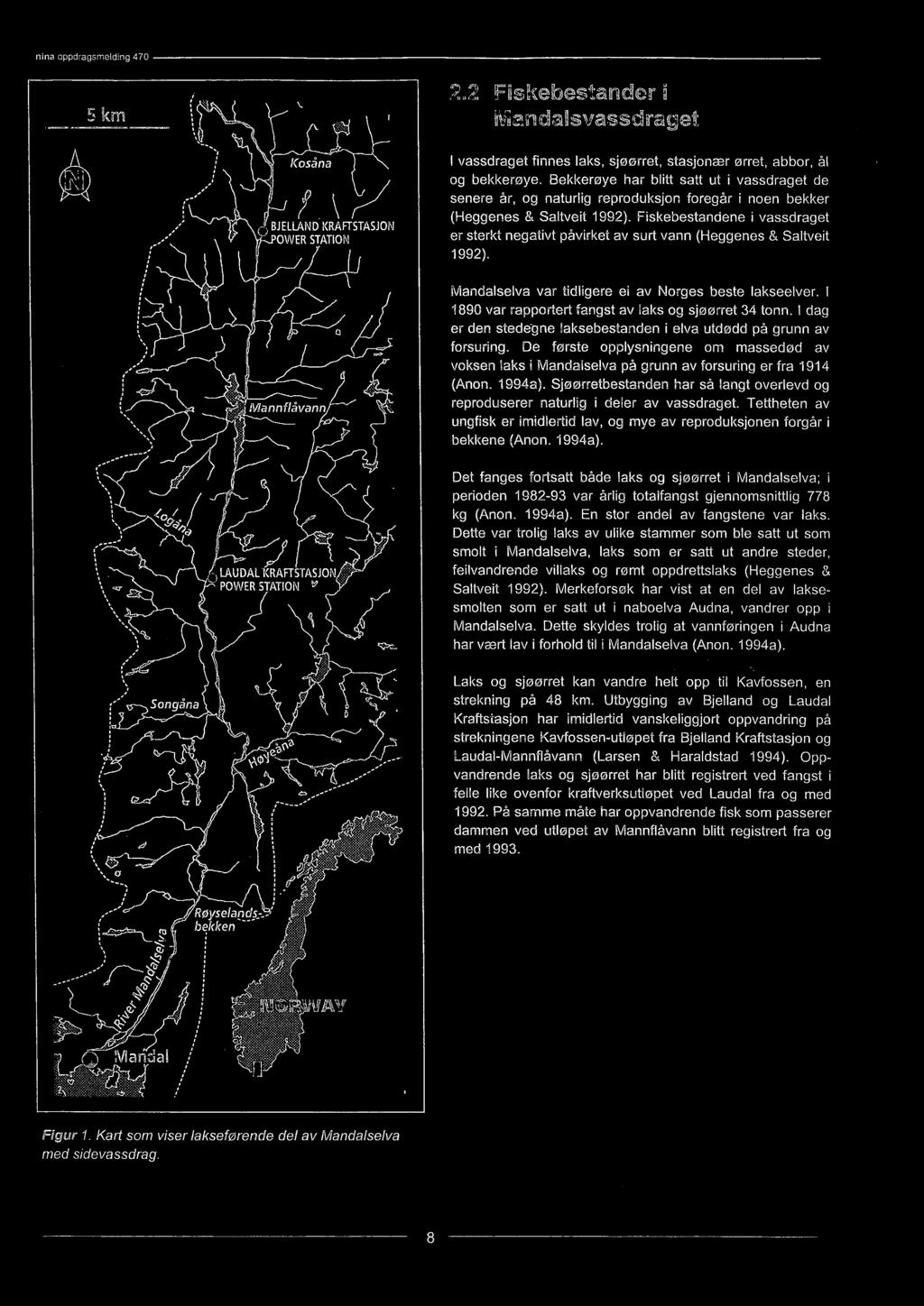 Fiskebestandene i vassdraget BJELLAND KRAFTSTASJON OWER STATION er sterkt negativt påvirket av surt vann (Heggenes & Saltveit 1992). Mannflåvann ead.