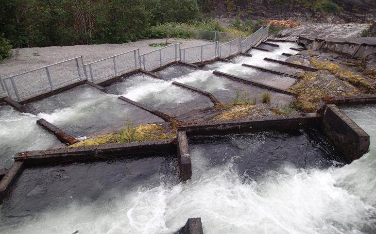 Limingen/Tunnsjøen I Limingen ble det fra 1960 satt ut en del forsøkspartier av merket ørret av forskjellige kvaliteter og størrelser. Samtidig ble det i mange år satt ut en-somrig ørret etter pålegg.