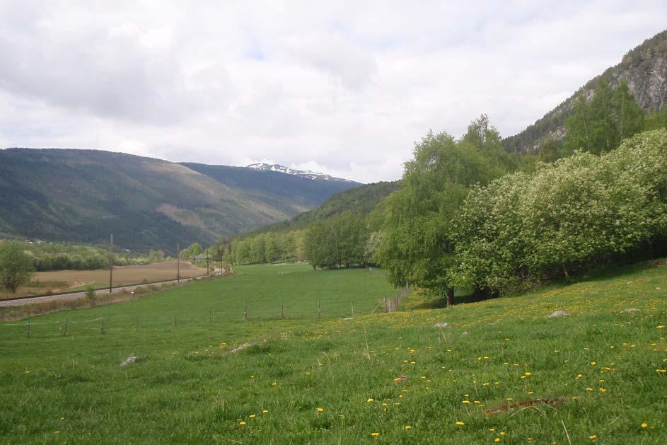 Delområde 2 - Molykkja - Hagastugu Dette delområdet skiller seg fra det foregående ved terrengets formasjon og vegetasjonen i området. Den spredte bebyggelse ligger som et smalt belte langsmed Lågen.