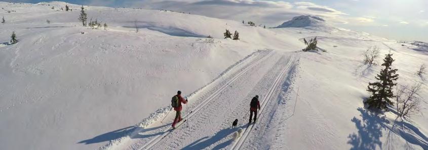 Tempelseter Fjellstue er et naturlig startpunkt for både gåturer, skiturer og avslapping i fjellheimen.