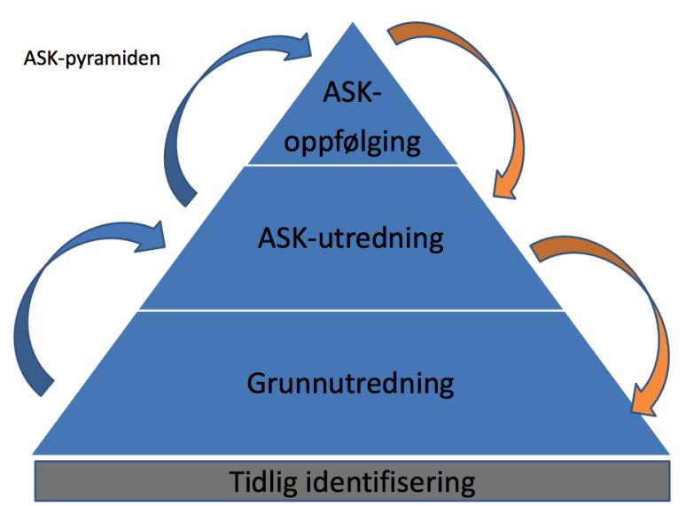 3.2 Kartlegging av ASK-behov For å sørge for at mennesker får en best mulig tilpasset og riktig kommunikasjonsform, må det gjennomføres en grundig kartlegging til for å identifisere kommunikative