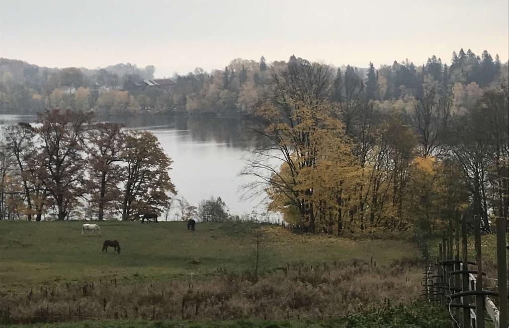 Når bør vi bruke formålet spredt bebyggelse? I områder med lite utbyggingspress, og hvor lokale myndigheter vurderer det som nødvendig for å øke attraktiviteten for bosetting, jf.