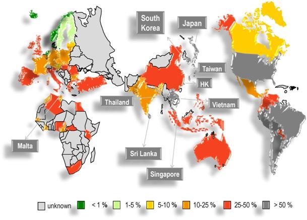 Den globale